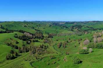 246 Allen and Eyre Road, Onewhero