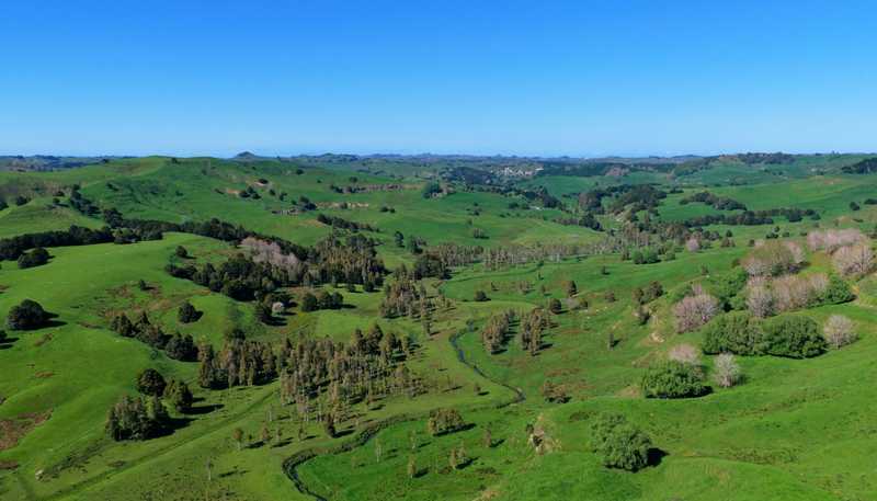 246 Allen and Eyre Road, Onewhero
