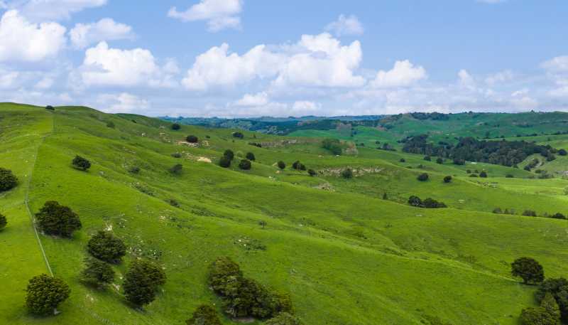 246 Allen and Eyre Road, Onewhero