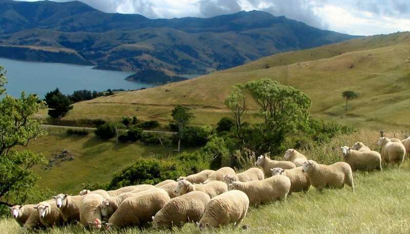 194 Okains Bay Road, Akaroa