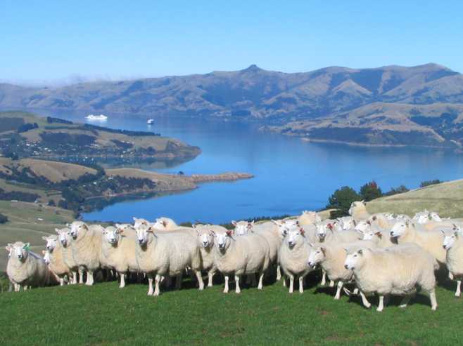 194 Okains Bay Road, Akaroa