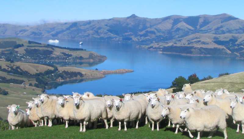 194 Okains Bay Road, Akaroa
