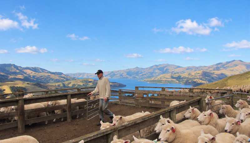 194 Okains Bay Road, Akaroa