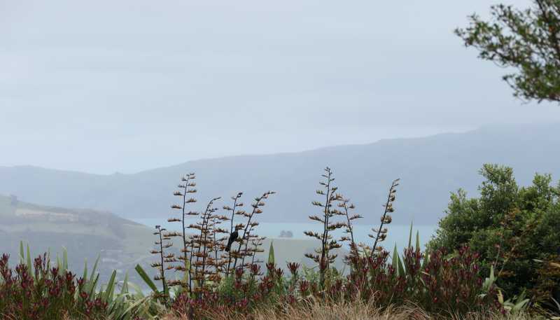 194 Okains Bay Road, Akaroa
