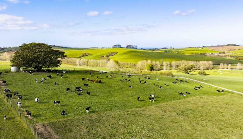  Ocean View Road and Busbridge Road, Te Arai