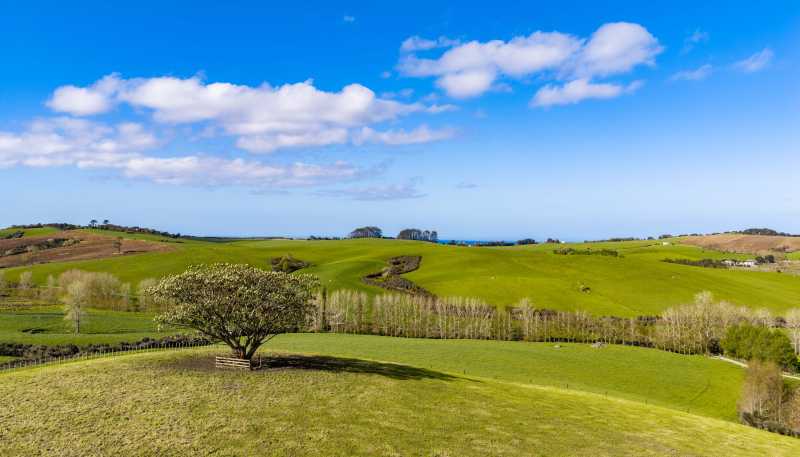  Ocean View Road and Busbridge Road, Te Arai