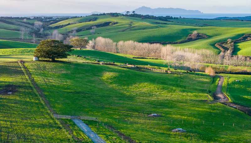  Ocean View Road and Busbridge Road, Te Arai