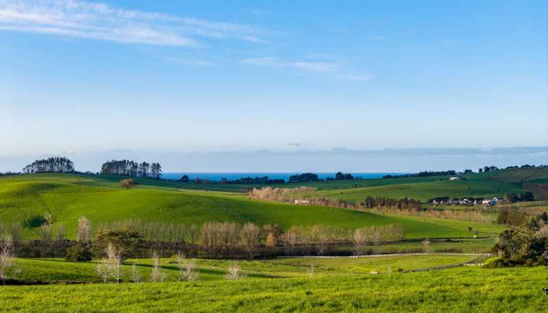  Ocean View Road and Busbridge Road, Te Arai
