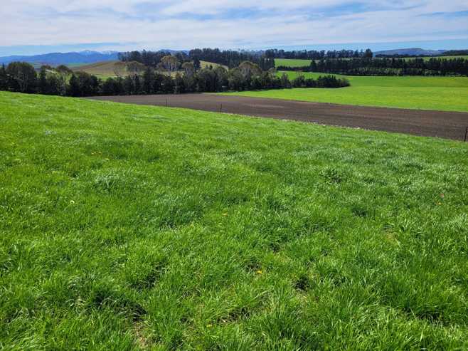 480 Island Cliff - Duntroon Road, Island Cliff