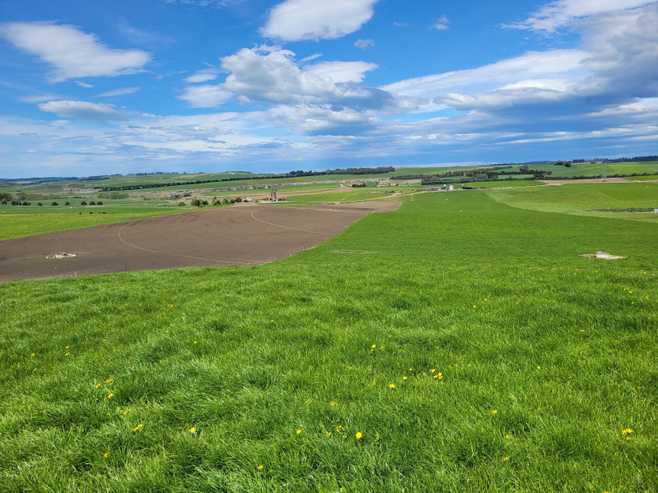 480 Island Cliff - Duntroon Road, Island Cliff