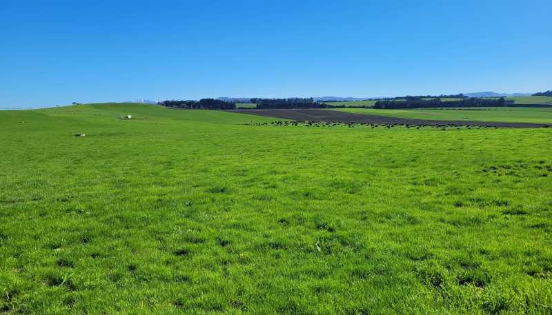 480 Island Cliff - Duntroon Road, Island Cliff
