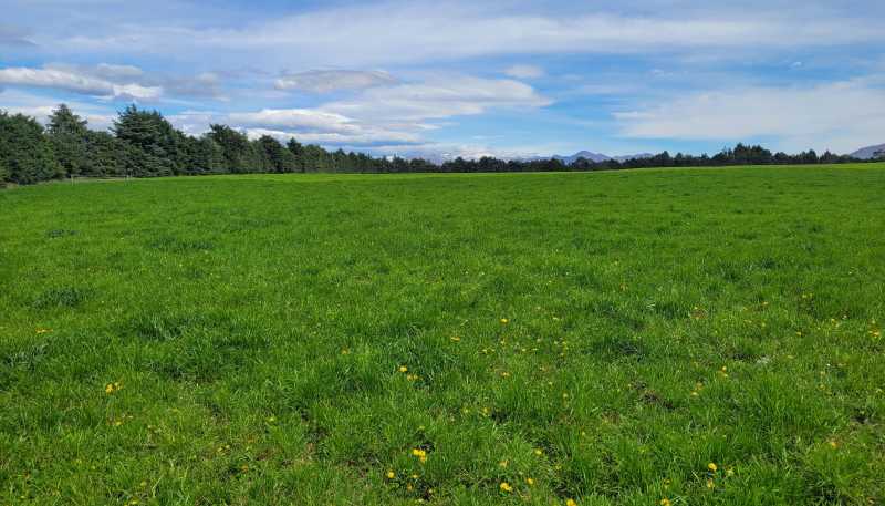 480 Island Cliff - Duntroon Road, Island Cliff