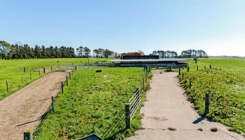 319 Waiau Road, Onaero
