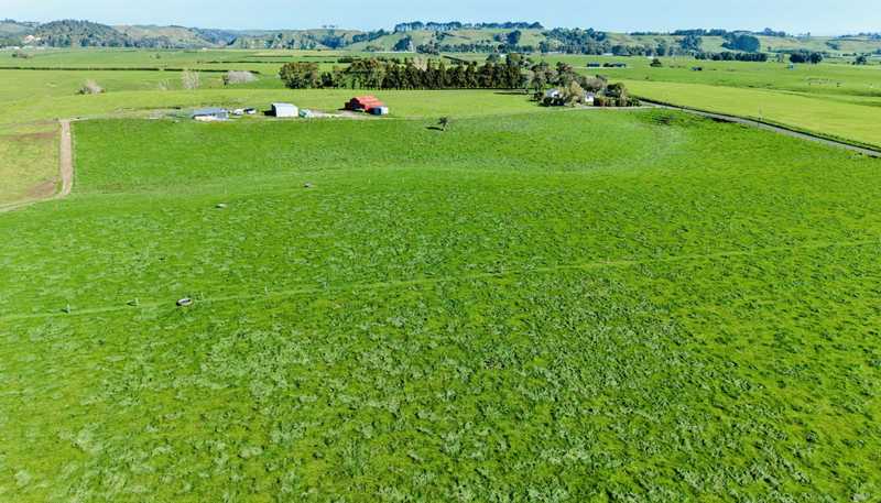 319 Waiau Road, Onaero