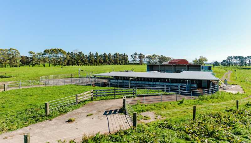 319 Waiau Road, Onaero