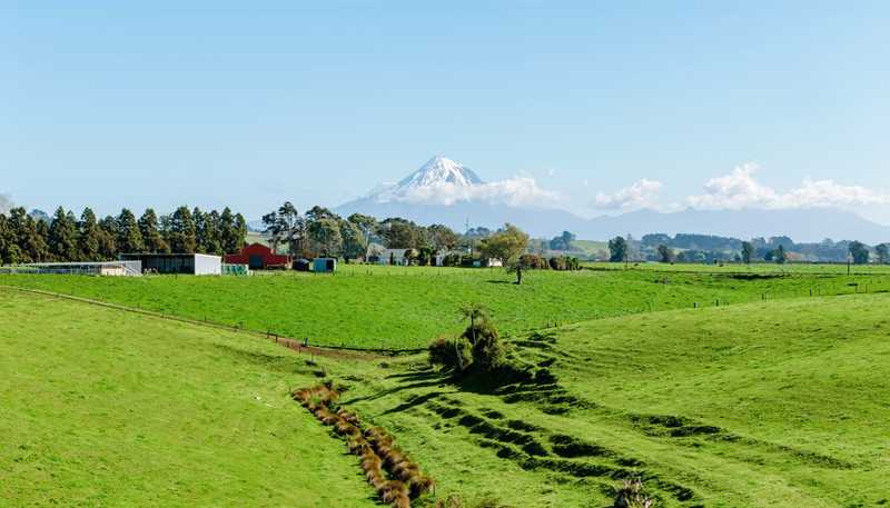 319 Waiau Road, Onaero