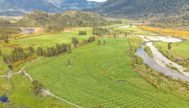 785 Lake Brunner Road, Moana