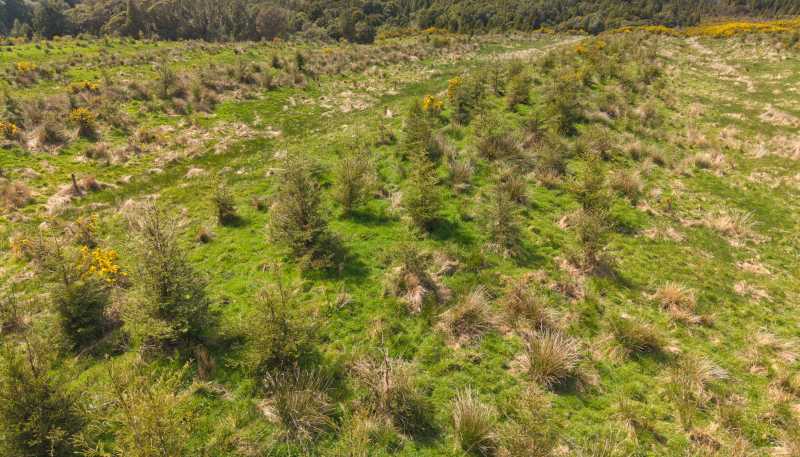 785 Lake Brunner Road, Moana