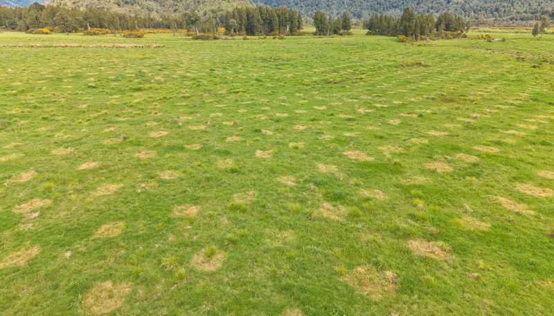785 Lake Brunner Road, Moana