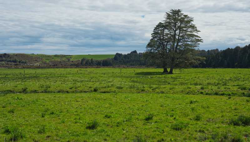 785 Lake Brunner Road, Moana
