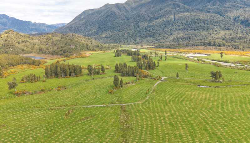 785 Lake Brunner Road, Moana