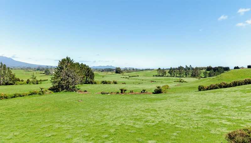 279 Upland Road, Inglewood