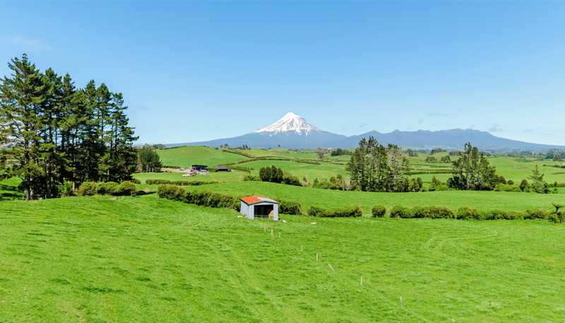 279 Upland Road, Inglewood