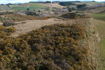  Ngapara-Georgetown Road, Ngapara