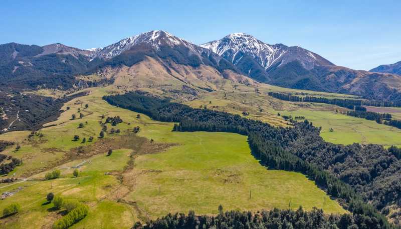 202 Mount Lyford Forest Drive, Lyford