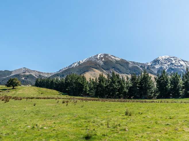 202 Mount Lyford Forest Drive, Lyford