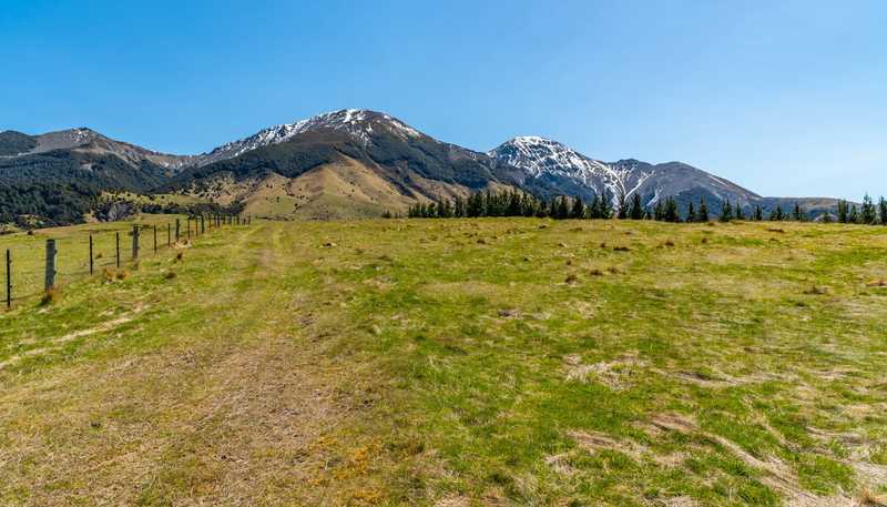 202 Mount Lyford Forest Drive, Lyford