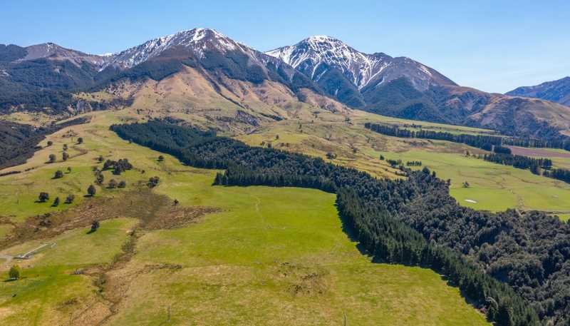 202 Mount Lyford Forest Drive, Lyford