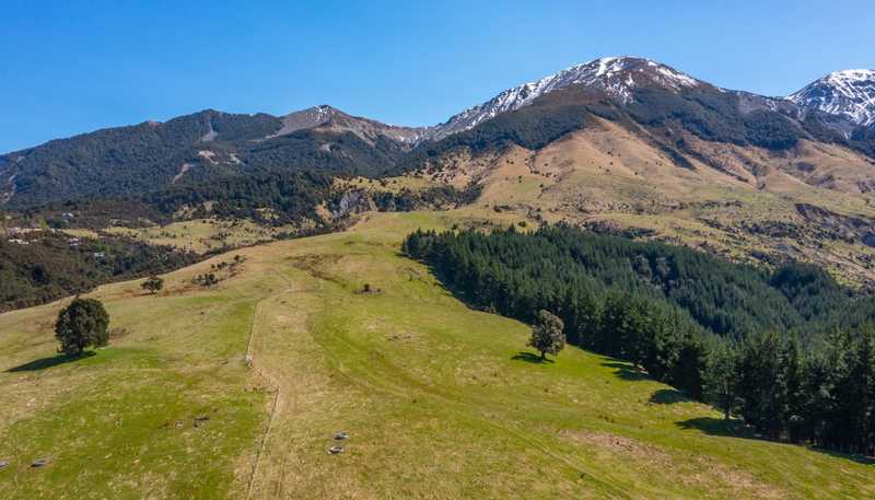 202 Mount Lyford Forest Drive, Lyford