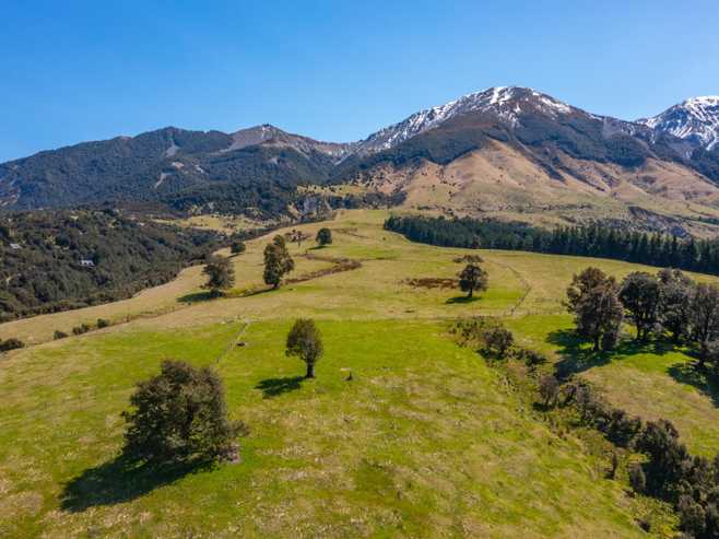 202 Mount Lyford Forest Drive, Lyford