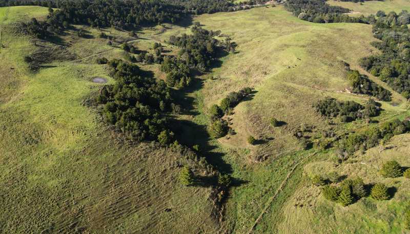 583 Lusk Road, Ruawai