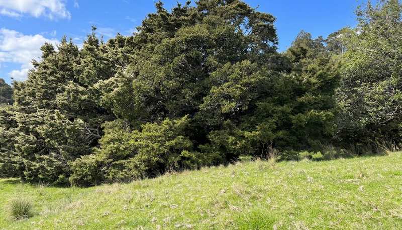 583 Lusk Road, Ruawai