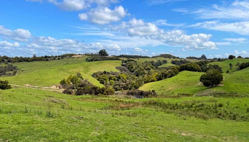 583 Lusk Road, Ruawai