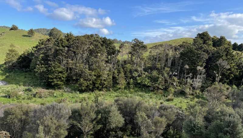 583 Lusk Road, Ruawai