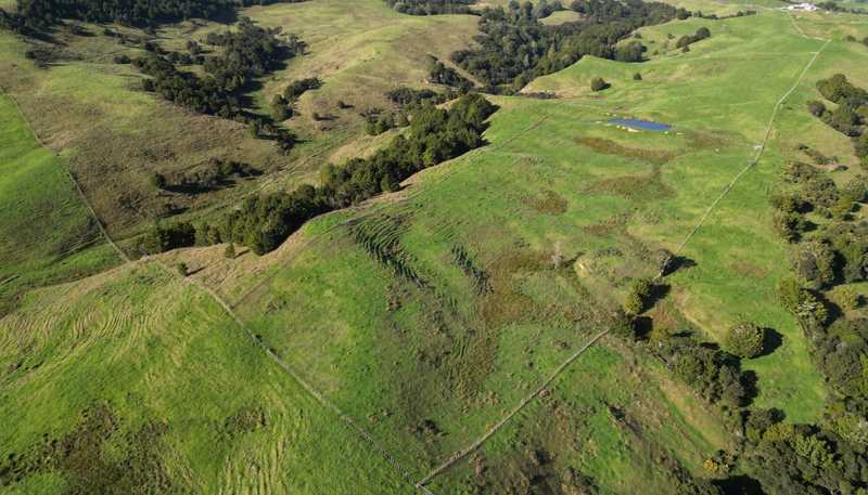 583 Lusk Road, Ruawai