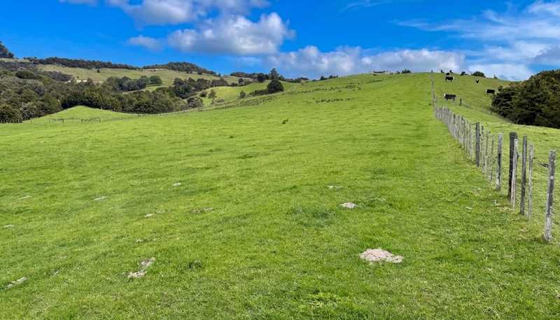 583 Lusk Road, Ruawai
