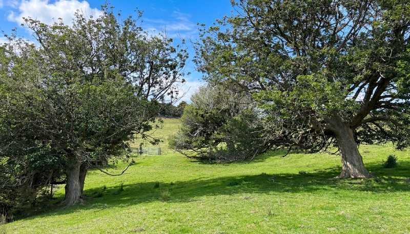 583 Lusk Road, Ruawai