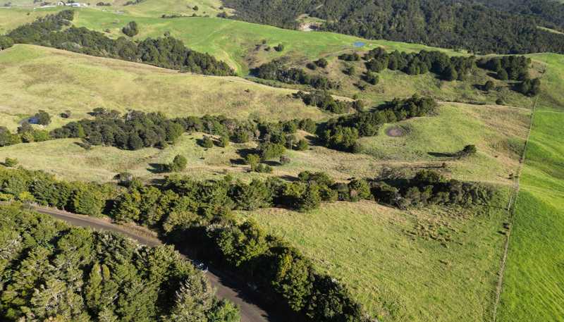 583 Lusk Road, Ruawai