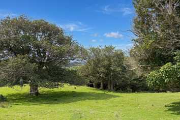 583 Lusk Road, Ruawai