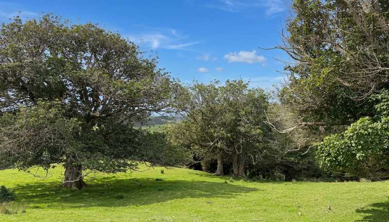 583 Lusk Road, Ruawai