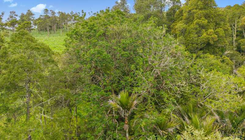  Te Kowhai Road, Matakohe