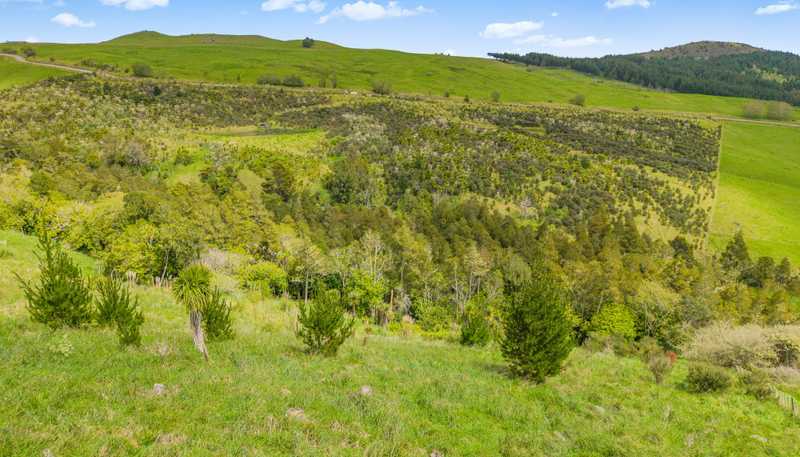  Te Kowhai Road, Matakohe
