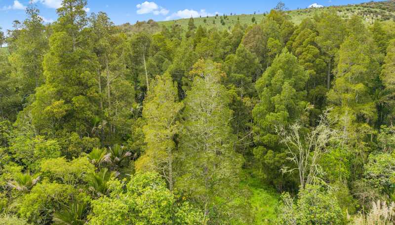  Te Kowhai Road, Matakohe