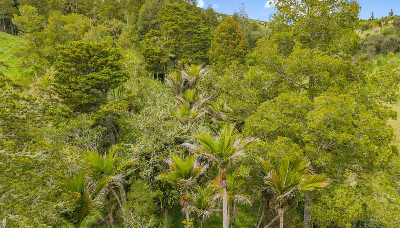  Te Kowhai Road, Matakohe