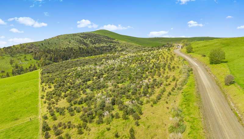  Te Kowhai Road, Matakohe