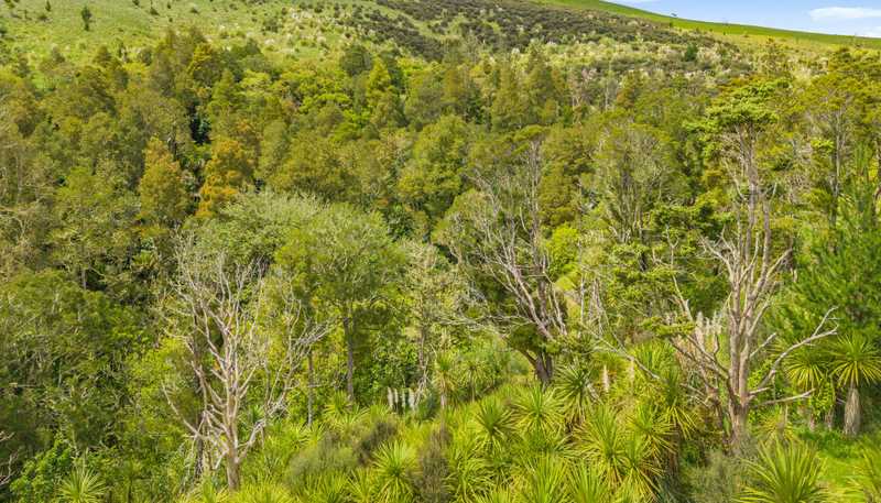  Te Kowhai Road, Matakohe